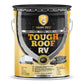 Tough Roof RV Coating